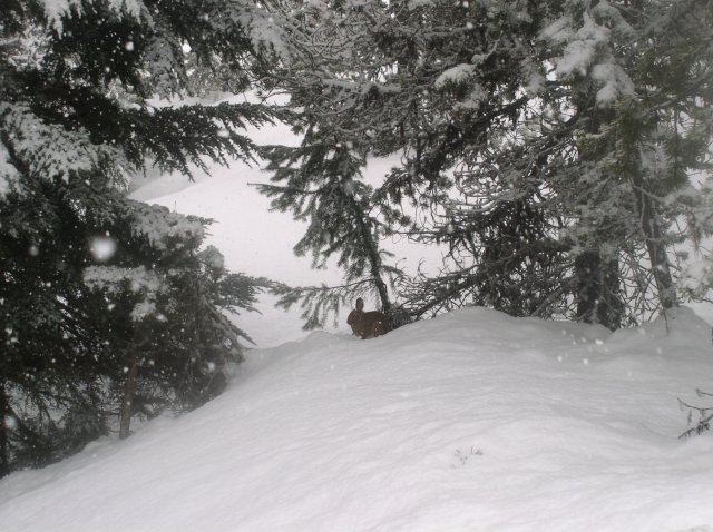 Ghost Ridge-Twin Lakes 037 